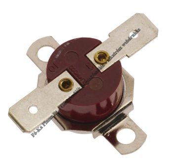 Bosch Termosztát 87167704250