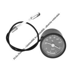 Bosch THERMO-MANOMETER 87172080230