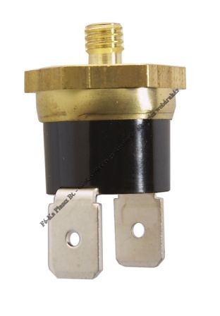 Bosch Homérséklethatároló 87229638580
