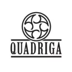 Quadriga MicroSystem 15 RFFI